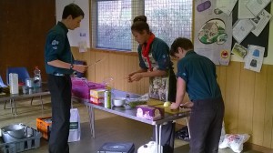 WP_20160130_007